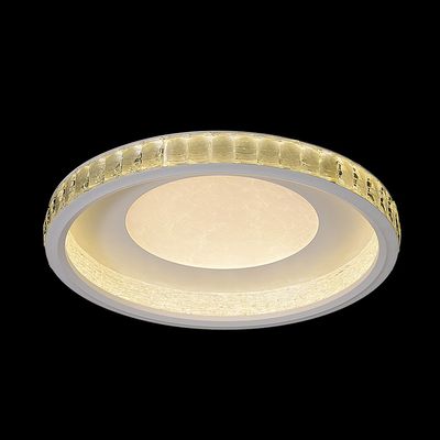 Iris Modern LED Celing Light - White Silver