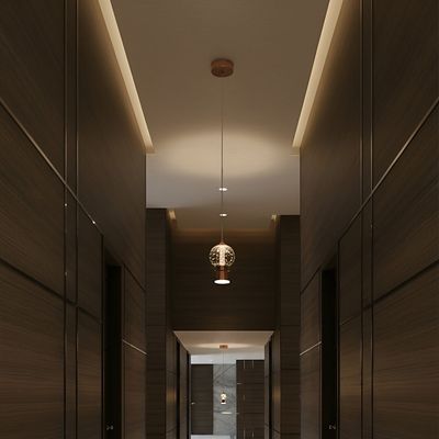 Evora LED Pendant 3-Color Dimmable 2.5m Adjustable Length-French Gold