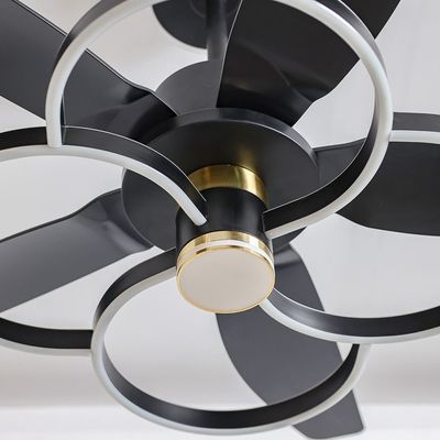 Shabran Ceiling Fan with LED - Iron+Acrylic - Black - 60 cm 