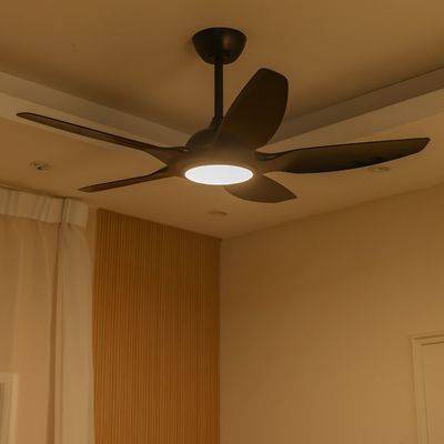 Shabran Ceiling Fan with LED - Iron+Acrylic -Black - 20 cm  