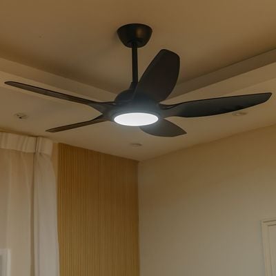 Shabran Ceiling Fans Iron+Acrylic 20Cm Led Black 9105