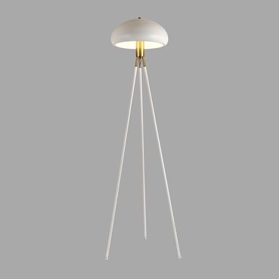 Hampton Metal Floor Lamp 40*H155 E27 White Fl1035