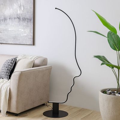 Hampton Metal+ Silicone Floor Lamp 40*H170 Led Black Fl1036