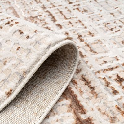 Harmony Modern Distressed Rugs 240X340 Brown