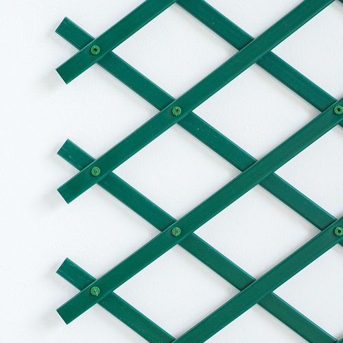 سياج بي في سي تعريشة قابل للتوسع 1 × 2 متر - أخضر