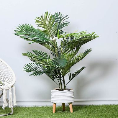 Mini Palm W/Pot - 120Cm