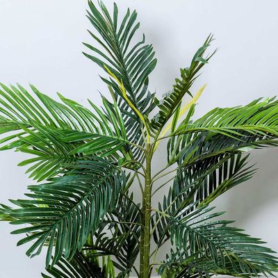 Mini Palm W/Pot - 120Cm