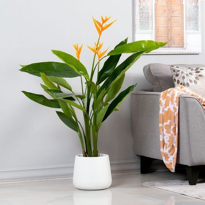 Strelitzia Artificial Plant - 120 cm