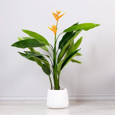 Strelitzia Artificial Plant - 120 cm