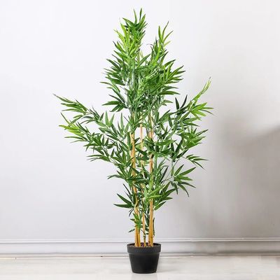 Bamboo Stem Green Plant in Plastic Black Pot-130 cm