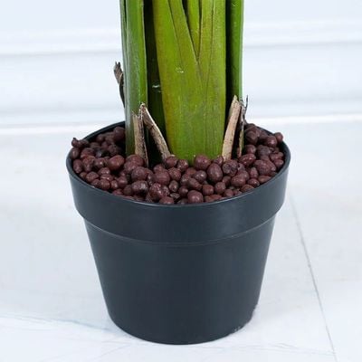 Pontederia Cordata W/Pot A213Ka - 110Cm-Green