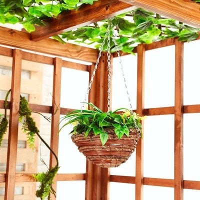 Rattan Hanging Basket With Plants -Lv-Ty049