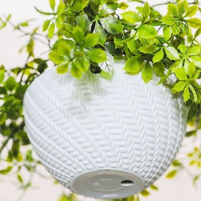 Rattan Hanging Basket With Platns -Lv-Ty621