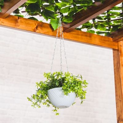 Rattan Hanging Basket With Platns -Lv-Ty621