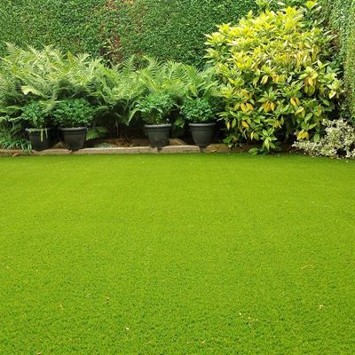 Evergreen Superior Grass 50Mm