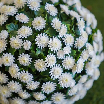 Artificial Topiary Ball - White & Green – 31 Cm