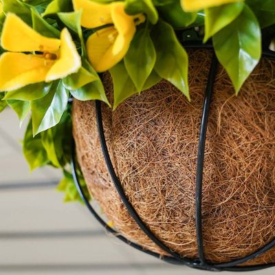 Hanging Basket  - Yellow - 38 Cm