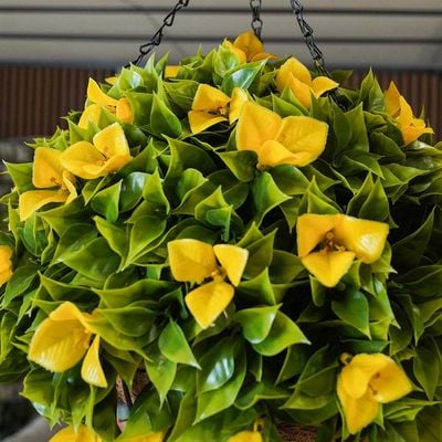 Hanging Basket  - Yellow - 38 Cm