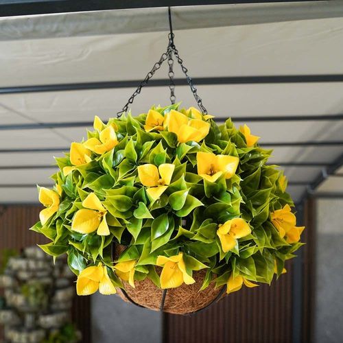 Hanging Basket  - Yellow - 38 Cm