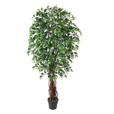 Wood Trunk Ficus Tree w/pot - 180cm