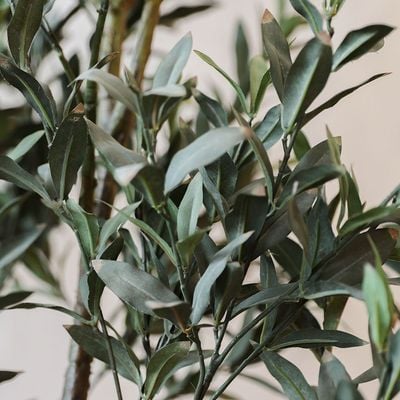 Olive Tree with pot - Artificial - 200 cm