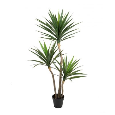 Yucca w/pot - 155cm