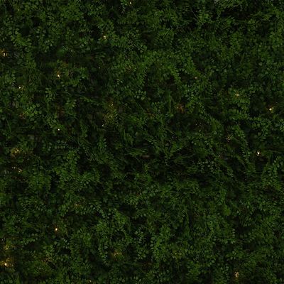 Artificial Fence - Fern - With Led Solar Light - 100 x 100Cm