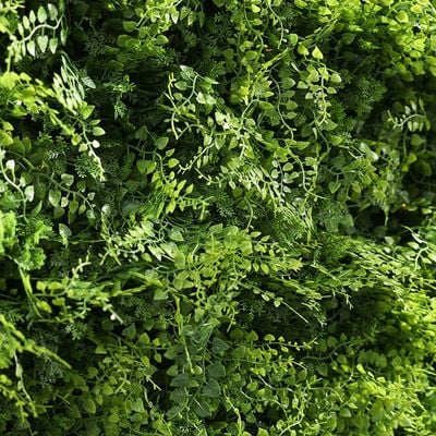 Artificial Fence - Fern - With Led Solar Light - 100 x 100Cm