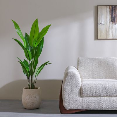 طائر الجنة نبات أخضر 145 سم