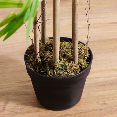 Peva Bamboo Plant - 150 CM