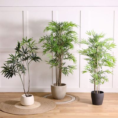 Peva Bamboo Plant - 150 CM