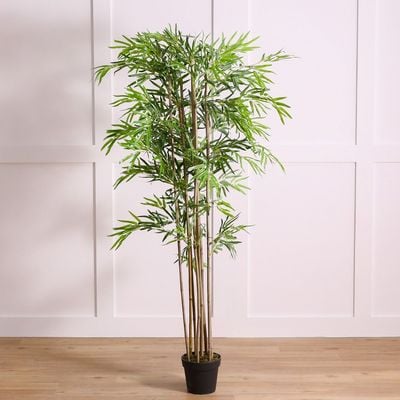 Peva Bamboo Plant - 180 CM