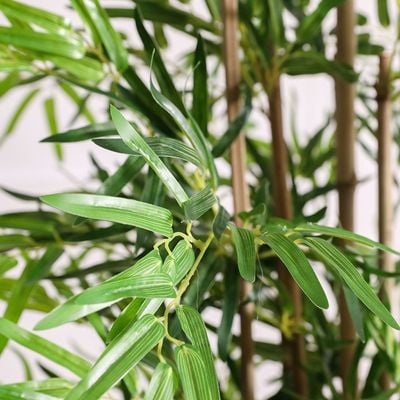 Peva Bamboo Plant - 180 CM