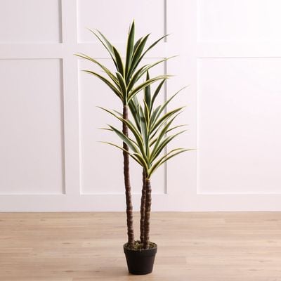 Yucca Plant - 135 cm