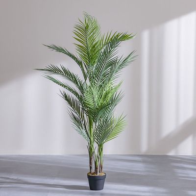 Palm Plant 150 Cm