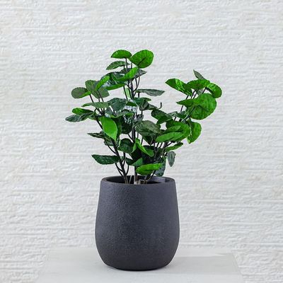 Fiber Clay Pots W. Rough Design 