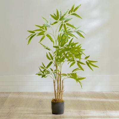 Nature Bamboo Plant - 90 CM