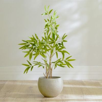 Nature Bamboo Plant - 90 CM