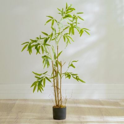 Nature Bamboo Plant - 120 CM