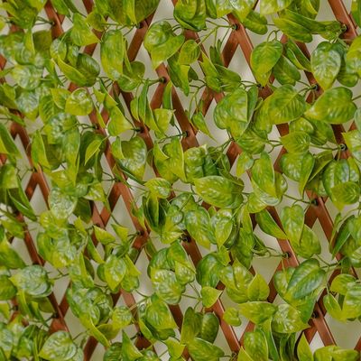 Artificial PVC Willow Fence Scindapsus Aureus - 90x180 CM - With 2-Year Warranty