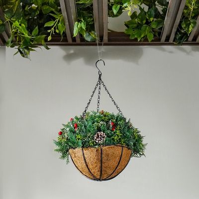 Hanging Plants With Basket - Pinecone