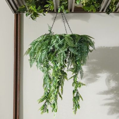 Hanging Plants With Basket - Green Glory