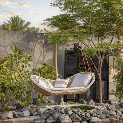 Citrus Hanging Chair - White - With 1-Year Warranty