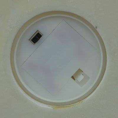 Flower Coral Decor With Light 30X13.8Cm