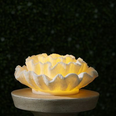 Flower Coral Decor With Light 30X13.8Cm