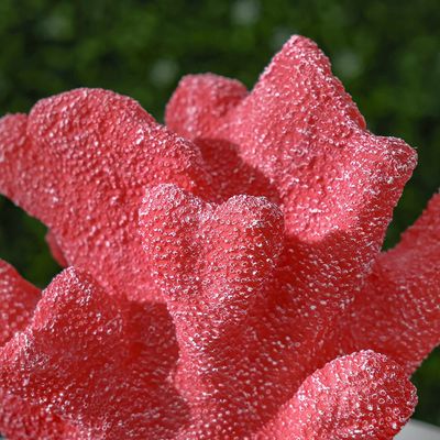 Antler Coral Decor With Light 33.5X20X29.5Cm