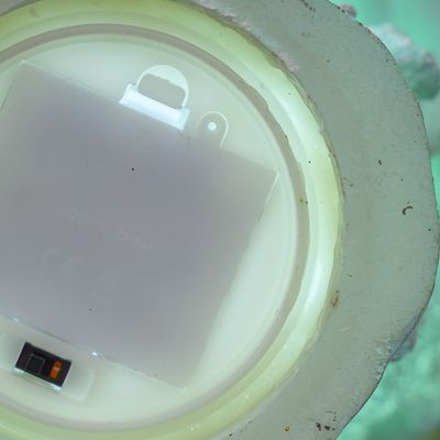 Fan Coral Decor With Light 31.7X18.8X32.8Cm