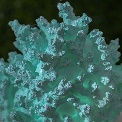 Fan Coral Decor With Light 31.7X18.8X32.8Cm