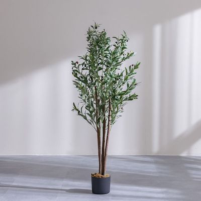 Olive Tree 150Cm - Natural Wood Trunk