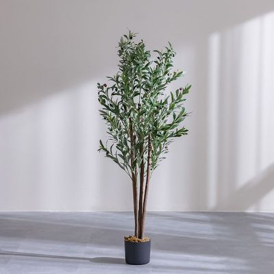 Olive Tree 180Cm - Natural Wood Trunk